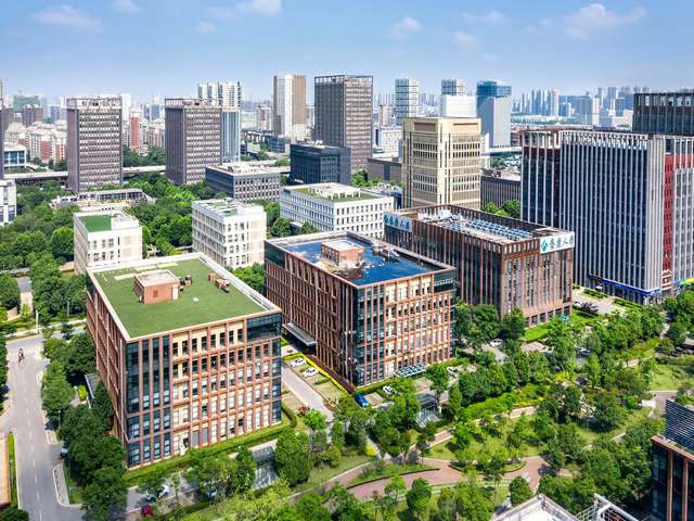 云南黄月子米价格